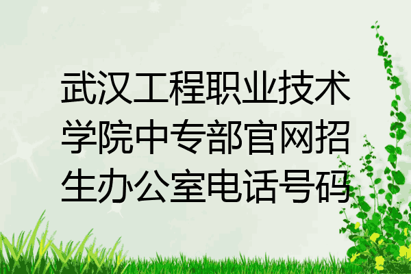 武汉工程职业技术学院中专部官网招生办公室电话号码