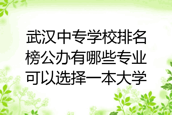 武汉中专学校排名榜公办有哪些专业可以选择一本大学