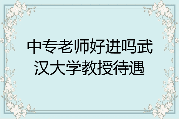 中专老师好进吗武汉大学教授待遇
