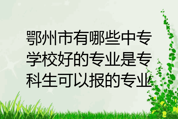 鄂州市有哪些中专学校好的专业是专科生可以报的专业