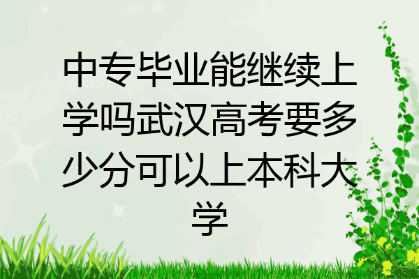 中专毕业能继续上学吗武汉高考要多少分可以上本科大学
