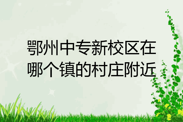 鄂州中专新校区在哪个镇的村庄附近