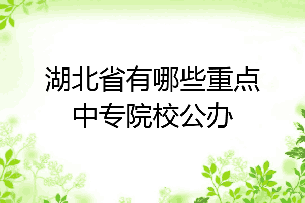 湖北省有哪些重点中专院校公办