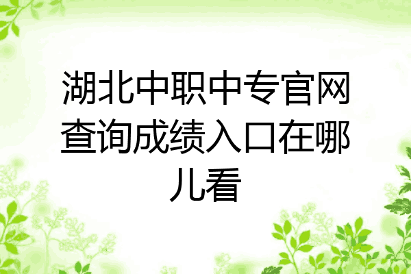湖北中职中专官网查询成绩入口在哪儿看