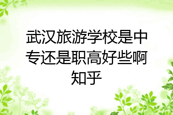 武汉旅游学校是中专还是职高好些啊知乎