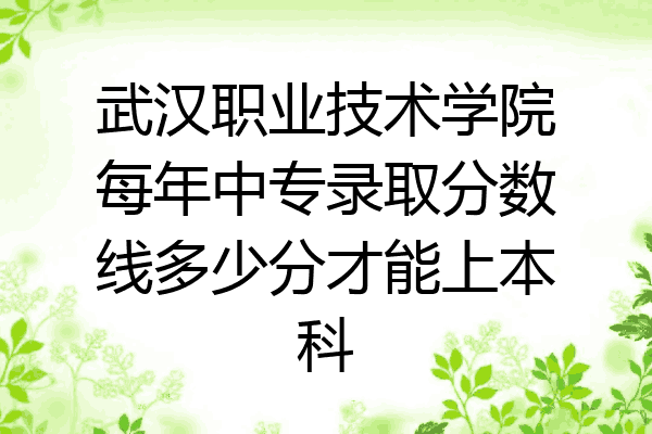武汉职业技术学院每年中专录取分数线多少分才能上本科