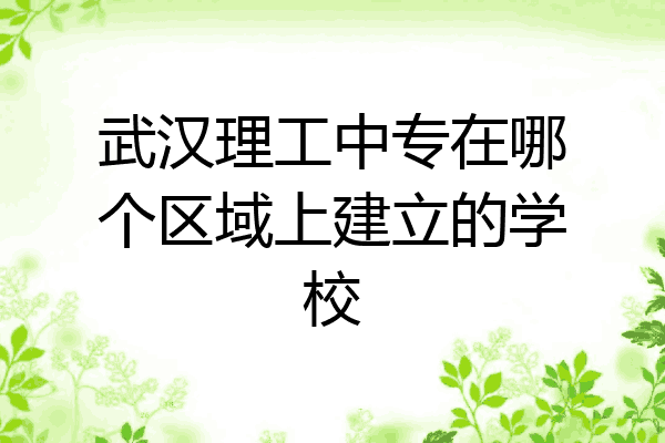 武汉理工中专在哪个区域上建立的学校