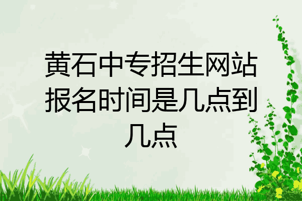 黄石中专招生网站报名时间是几点到几点
