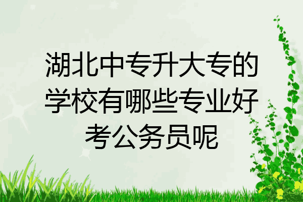 湖北中专升大专的学校有哪些专业好考公务员呢