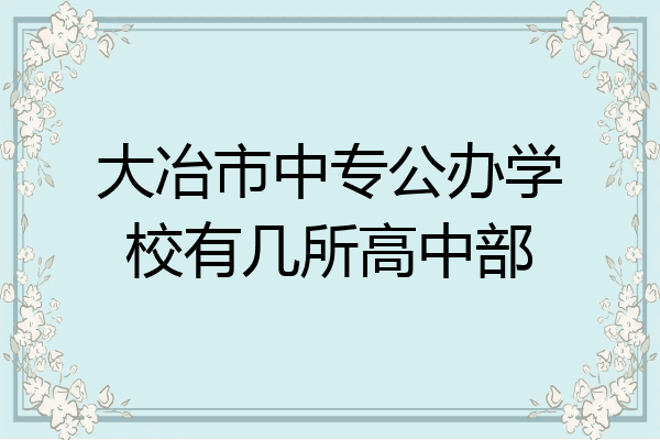 大冶市中专公办学校有几所高中部