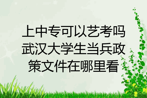 上中专可以艺考吗武汉大学生当兵政策文件在哪里看