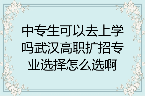 中专生可以去上学吗武汉高职扩招专业选择怎么选啊