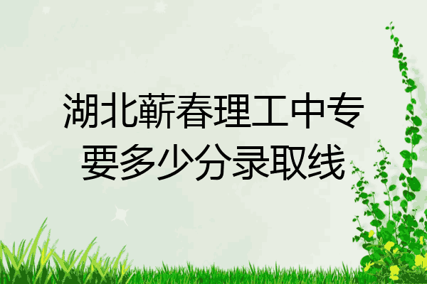 湖北蕲春理工中专要多少分录取线