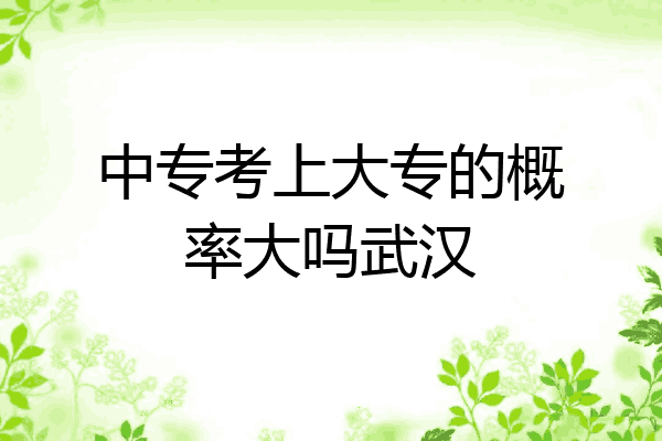 中专考上大专的概率大吗武汉