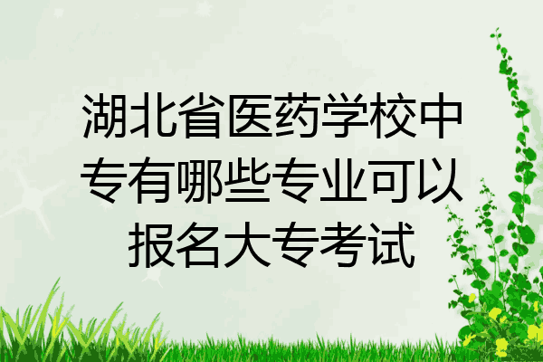 湖北省医药学校中专有哪些专业可以报名大专考试