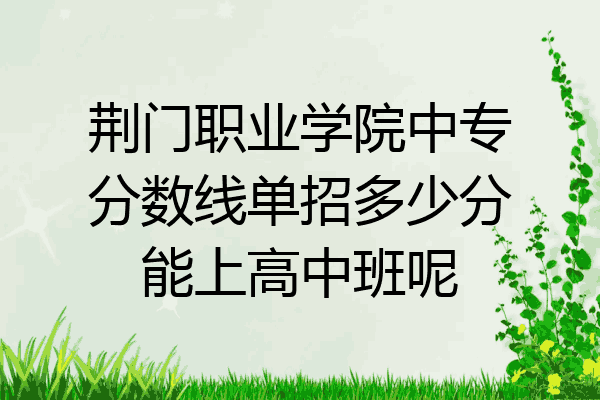 荆门职业学院中专分数线单招多少分能上高中班呢