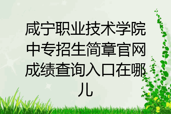 咸宁职业技术学院中专招生简章官网成绩查询入口在哪儿