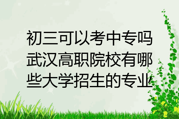初三可以考中专吗武汉高职院校有哪些大学招生的专业