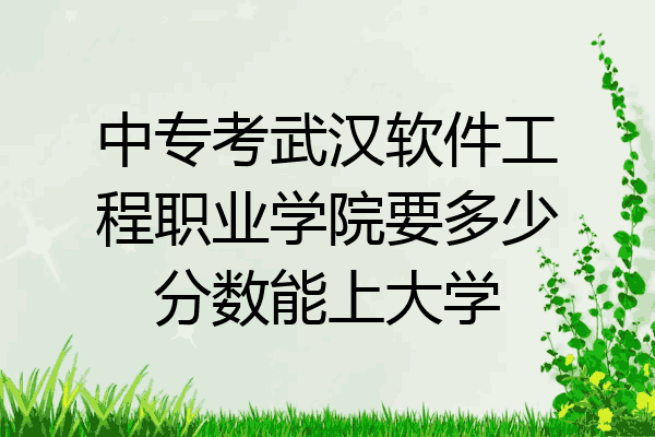 中专考武汉软件工程职业学院要多少分数能上大学