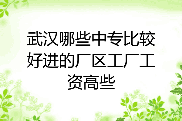 武汉哪些中专比较好进的厂区工厂工资高些
