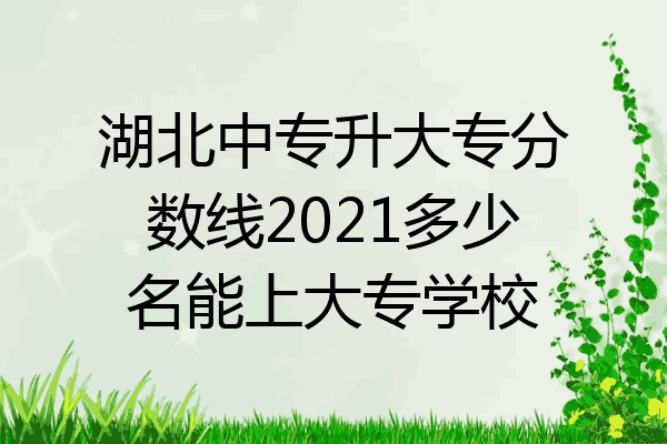湖北中专升大专分数线2021多少名能上大专学校