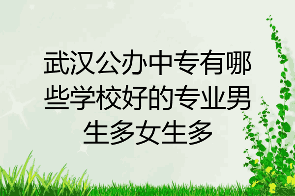 武汉公办中专有哪些学校好的专业男生多女生多
