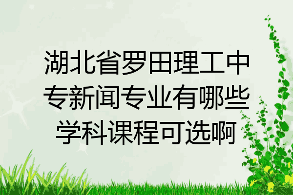 湖北省罗田理工中专新闻专业有哪些学科课程可选啊