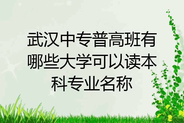 武汉中专普高班有哪些大学可以读本科专业名称