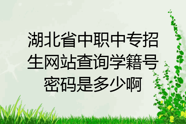 湖北省中职中专招生网站查询学籍号密码是多少啊
