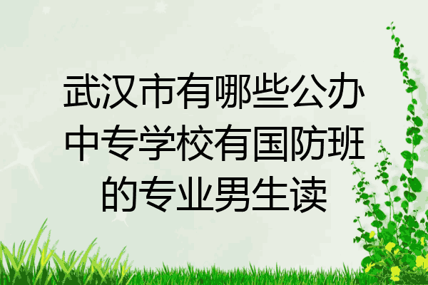 武汉市有哪些公办中专学校有国防班的专业男生读