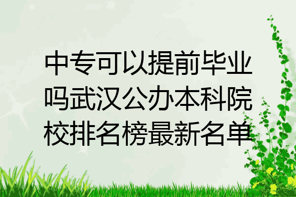 中专可以提前毕业吗武汉公办本科院校排名榜最新名单