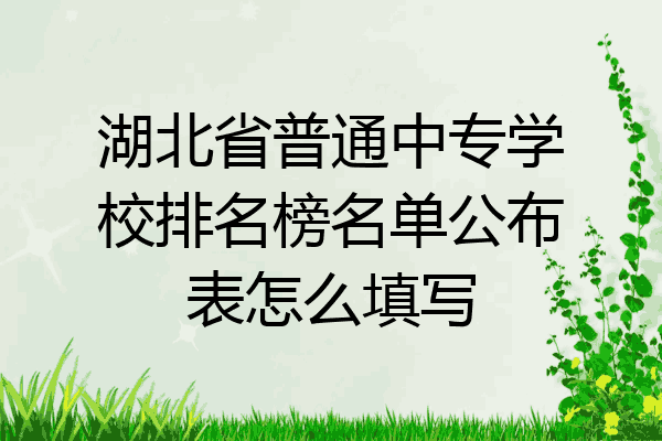 湖北省普通中专学校排名榜名单公布表怎么填写