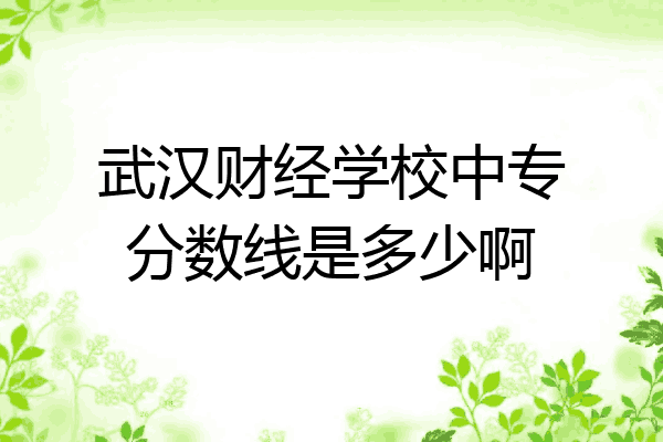 武汉财经学校中专分数线是多少啊