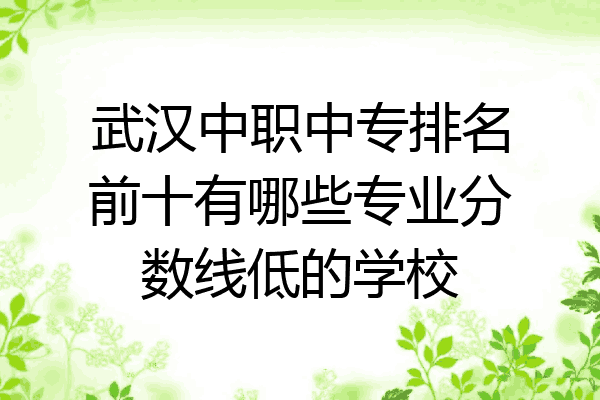 武汉中职中专排名前十有哪些专业分数线低的学校