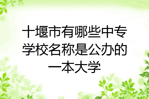 十堰市有哪些中专学校名称是公办的一本大学
