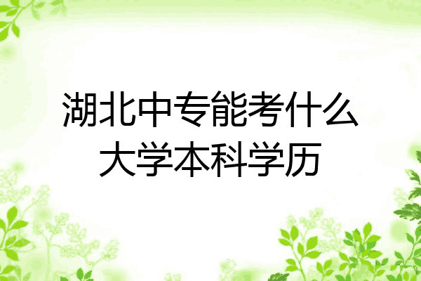 湖北中专能考什么大学本科学历