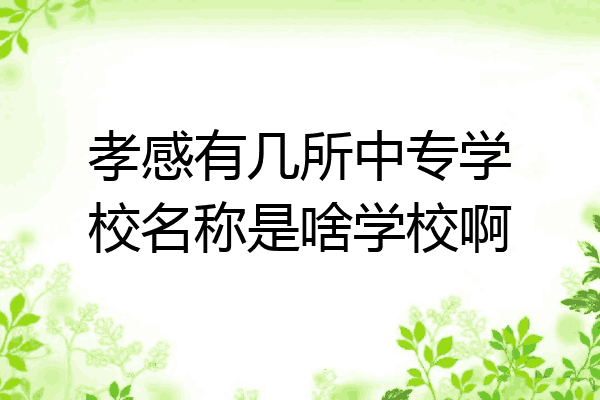 孝感有几所中专学校名称是啥学校啊