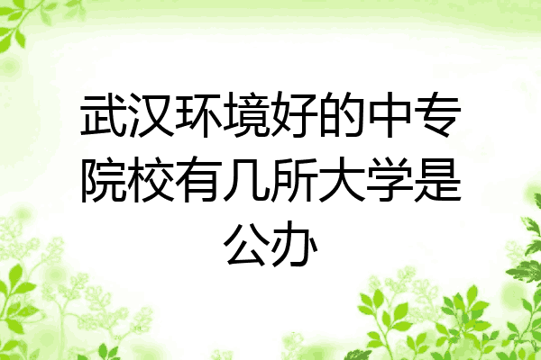 武汉环境好的中专院校有几所大学是公办