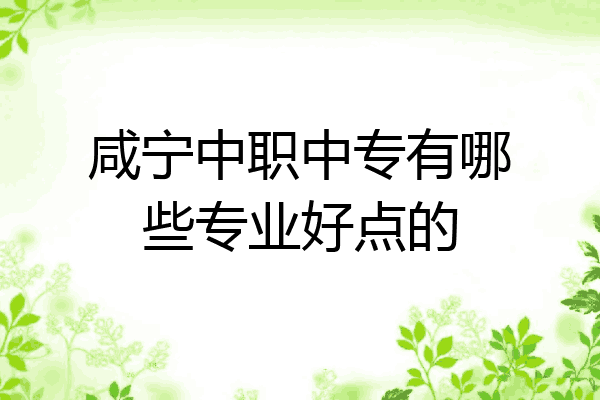 咸宁中职中专有哪些专业好点的