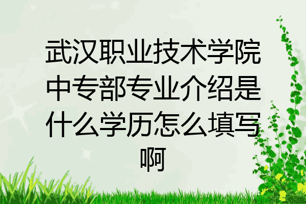 武汉职业技术学院中专部专业介绍是什么学历怎么填写啊