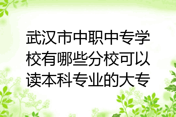 武汉市中职中专学校有哪些分校可以读本科专业的大专