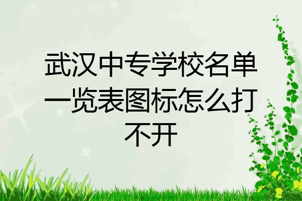 武汉中专学校名单一览表图标怎么打不开