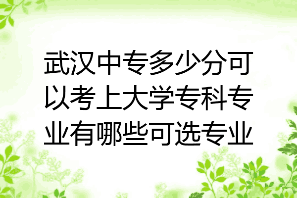 武汉中专多少分可以考上大学专科专业有哪些可选专业