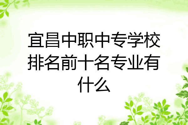 宜昌中职中专学校排名前十名专业有什么
