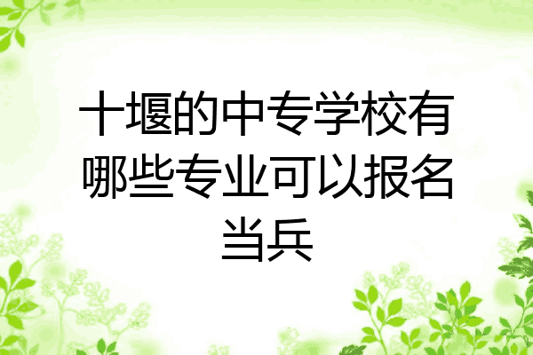十堰的中专学校有哪些专业可以报名当兵