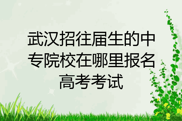 武汉招往届生的中专院校在哪里报名高考考试