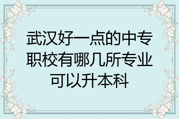武汉好一点的中专职校有哪几所专业可以升本科