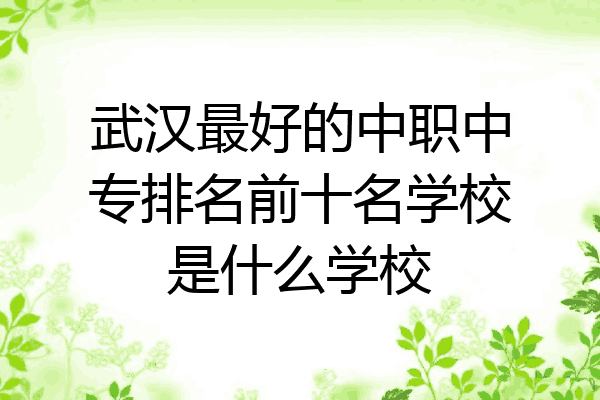 武汉最好的中职中专排名前十名学校是什么学校
