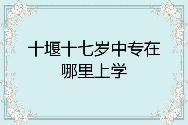 十堰十七岁中专在哪里上学