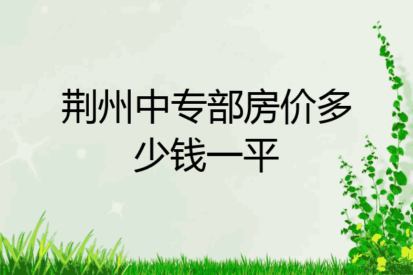 荆州中专部房价多少钱一平